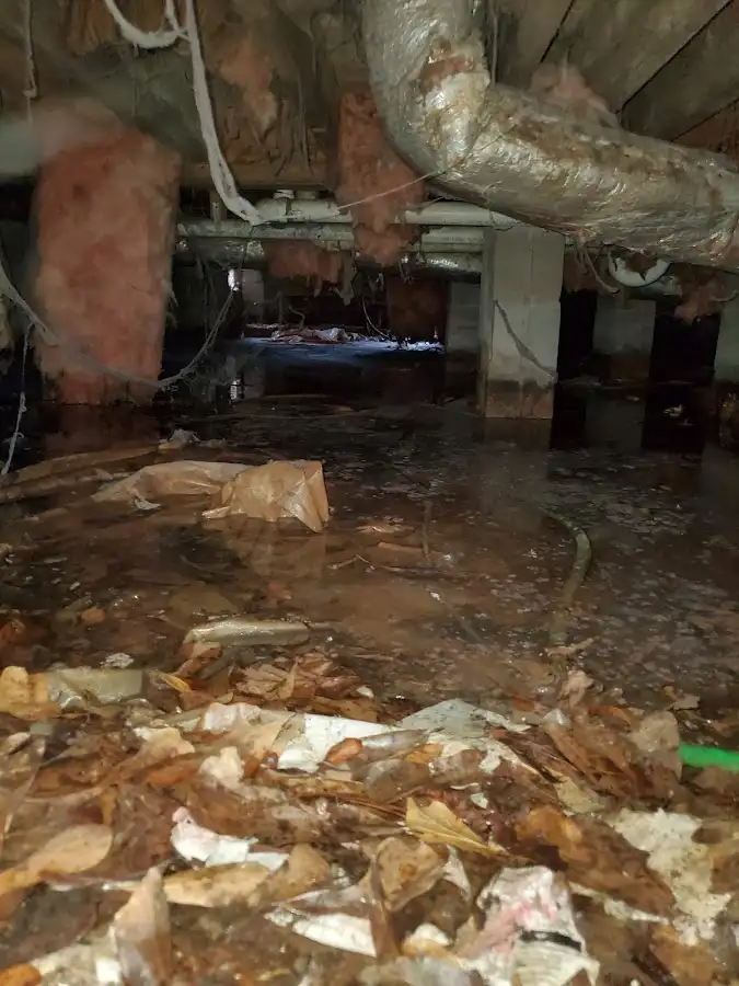 Crawl space flood assessment for Commercial Water Damage Restoration in White Rock