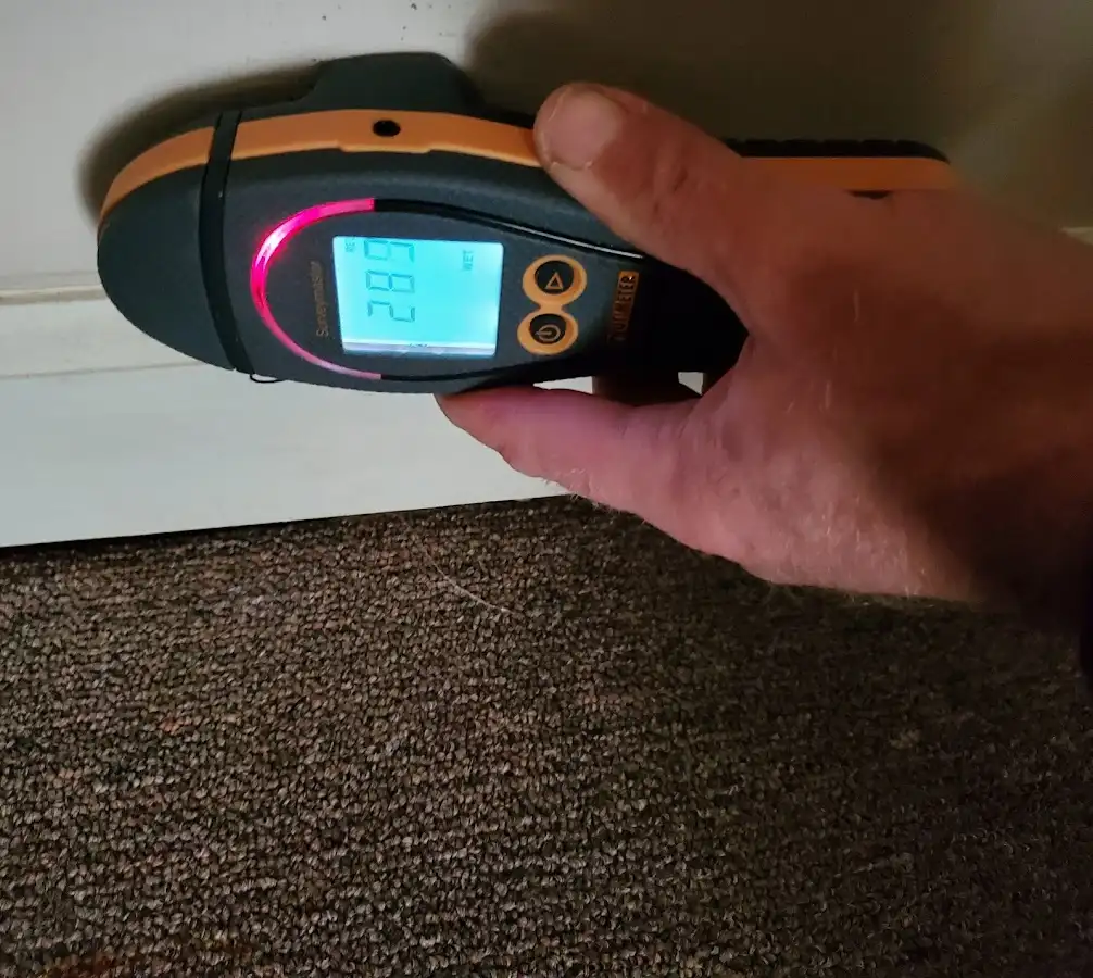 Moisture detection at baseboard during Mold Inspection & Testing in White Rock